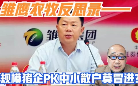 雏鹰农牧反思录——规模猪企PK中小散户莫冒进