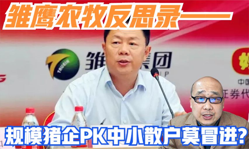 雏鹰农牧反思录——规模猪企PK中小散户莫冒进