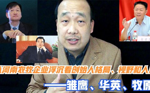 从河南农牧企业看创始人格局、人脉——雏鹰、华英、牧原
