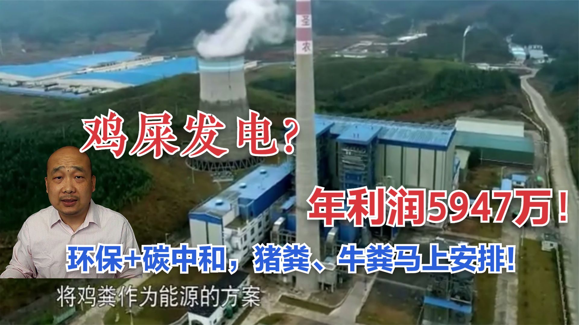 鸡屎发电？年利润5947万！环保+碳中和，猪粪、牛粪马上安排