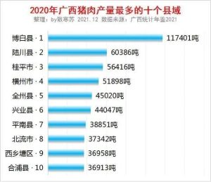 广西猪肉