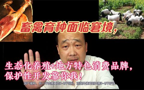 畜禽育种面临窘境，生态养殖+地方特色消费品牌，保护开发靠你我