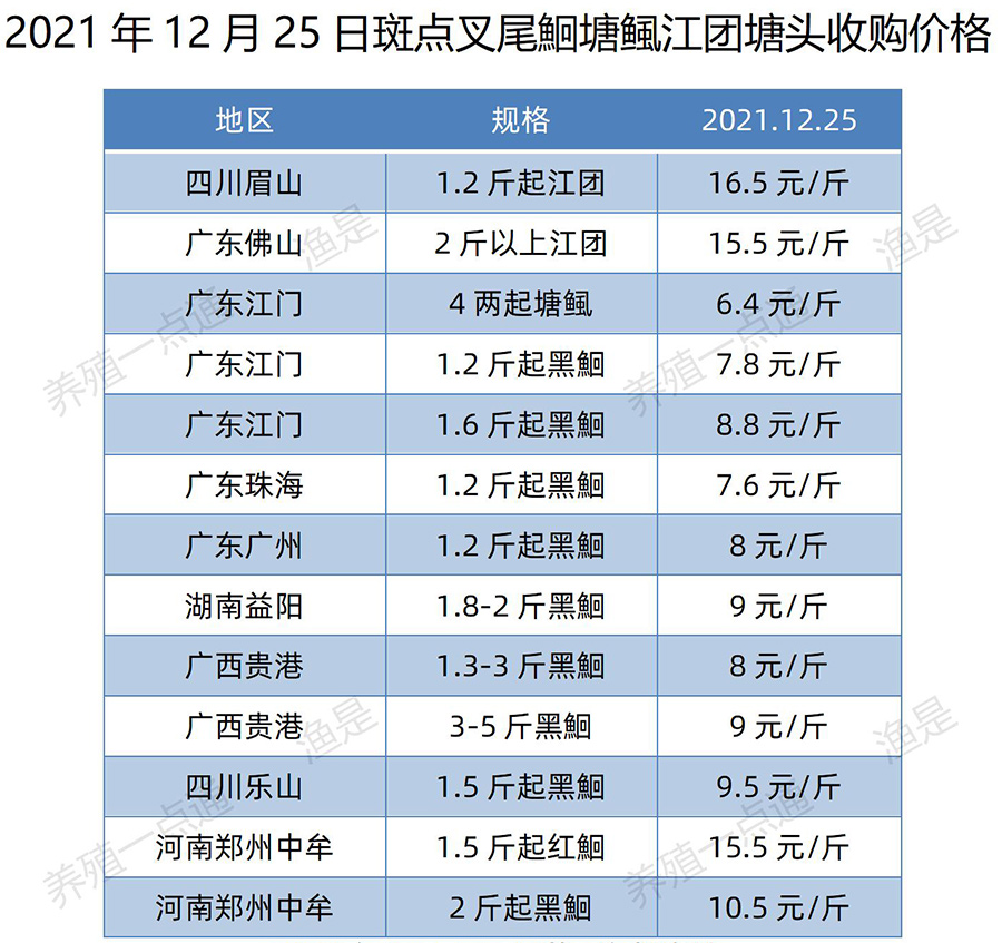 2021年12月25日，黄颡鱼、罗非鱼、斑点叉尾鮰、塘鲺、江团、加州鲈塘口收购价格