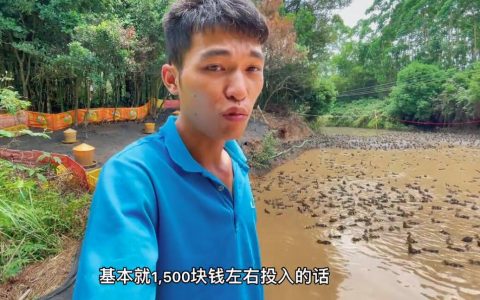 养鸭新模式，投入1500，净赚2万块，完全靠运气