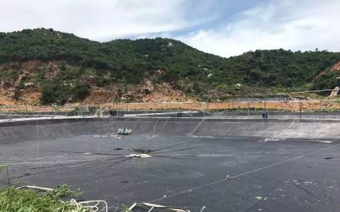 养虾中后期到底能否换水？怎么换？