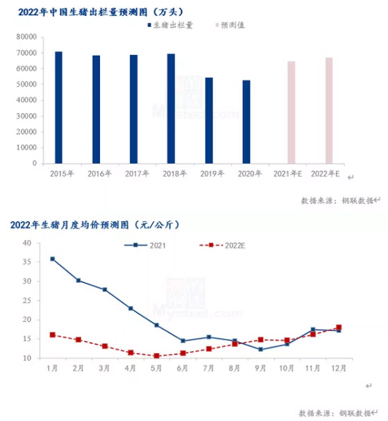 2022年中国生猪出栏量预测图（万头）