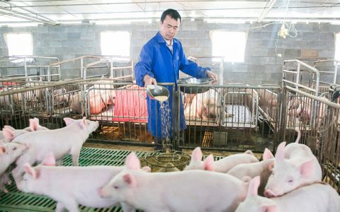 老铁的2021：去年狂赚2000万，今年“停产”5个月，有赚有赔，全看眼光