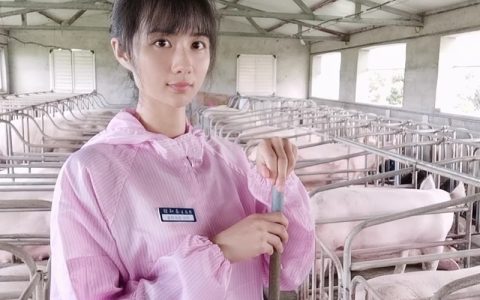 2022年畜牧圈中小散户的四大选择，您怎么选？