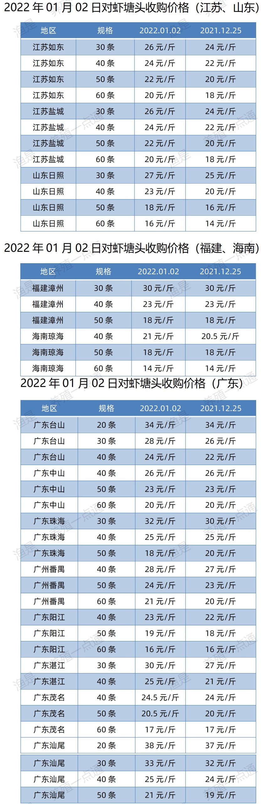 2022年01月02日南美白对虾、日本对虾塘头收购价格表（广东、福建、江苏、山东、海南）