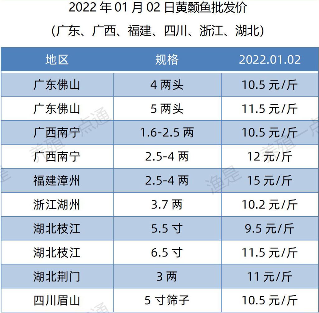 2022.01.02，黄颡鱼