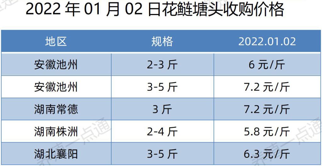 2022.01.02，花鲢