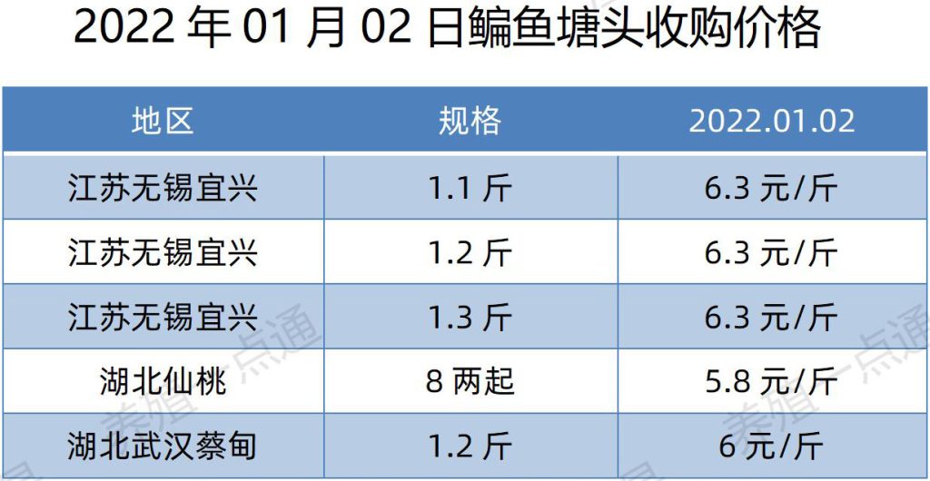 2022.01.02，鳊鱼