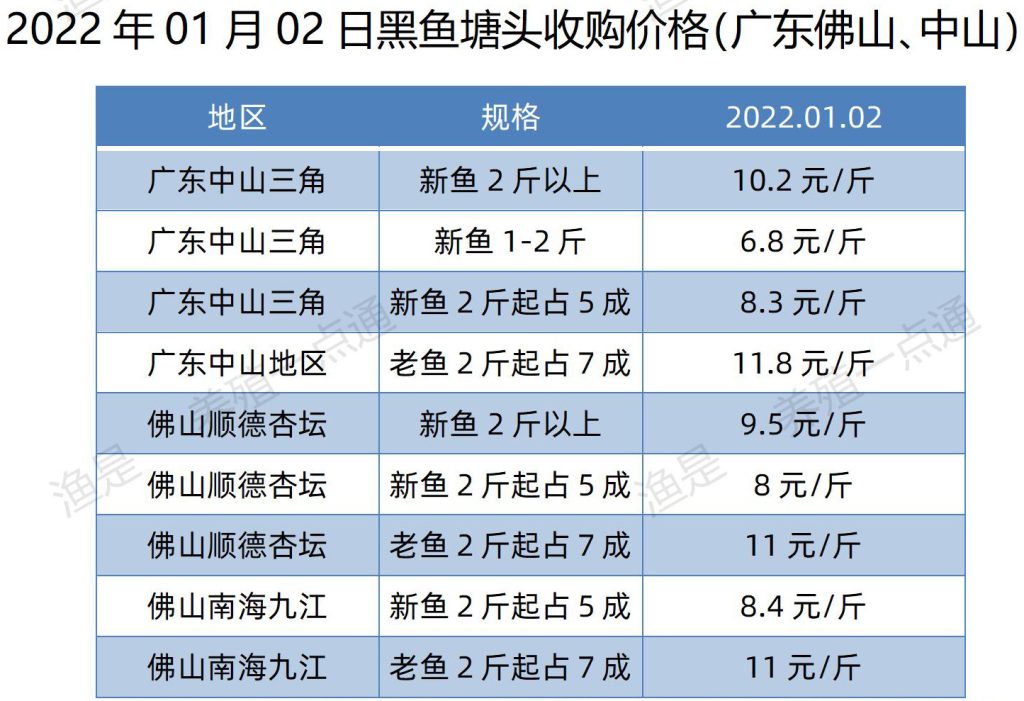 2022.01.02，黑鱼