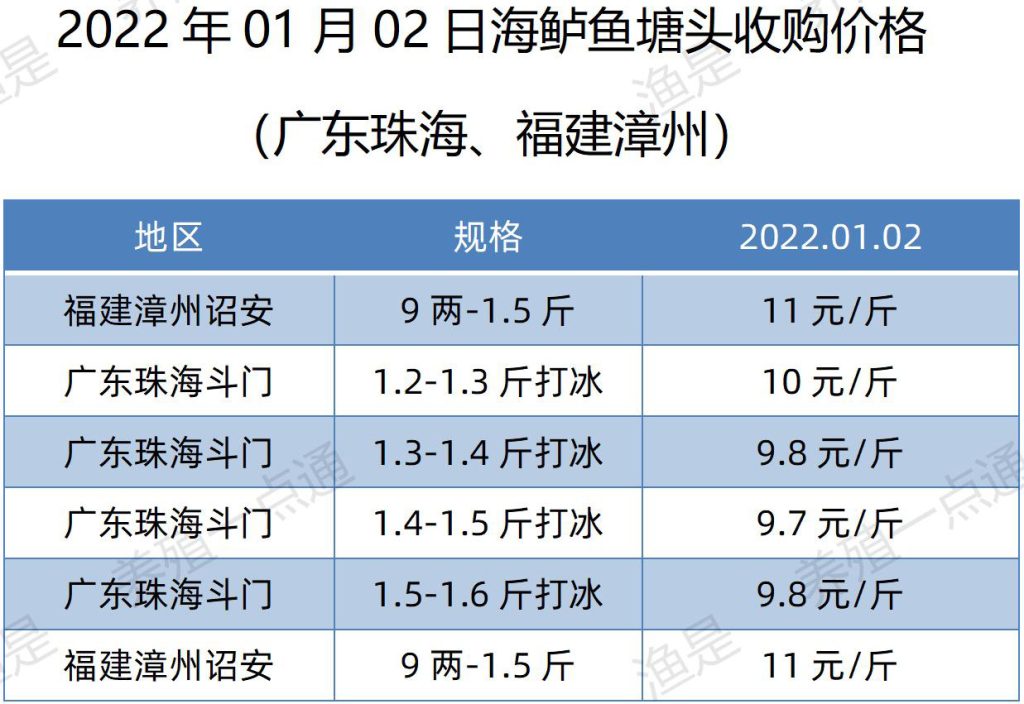 2022.01.02，海鲈