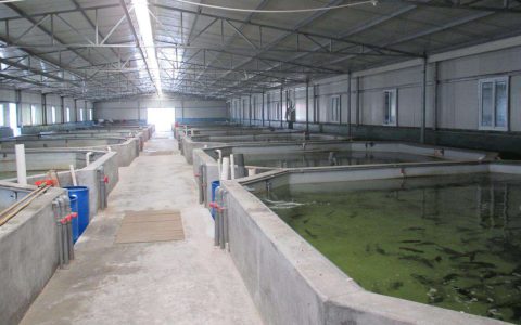 水产养殖污水处理三招，高密度养殖技术攻关