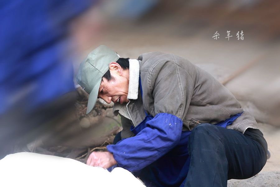 乡下传统杀年猪怎么就违法了？快来看看，别再犯法了