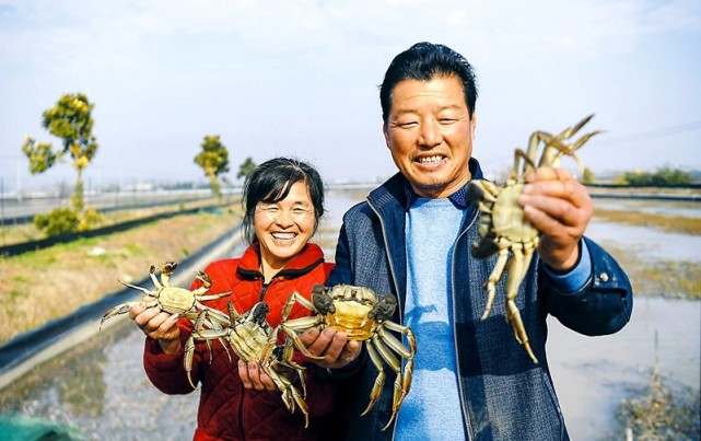 钱根宝和妻子在比谁打捞上来的螃蟹个头大。