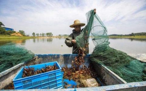 河蟹小龙虾早春肥水放苗准备事项