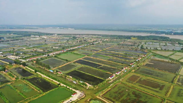 张福河村水产养殖基地
