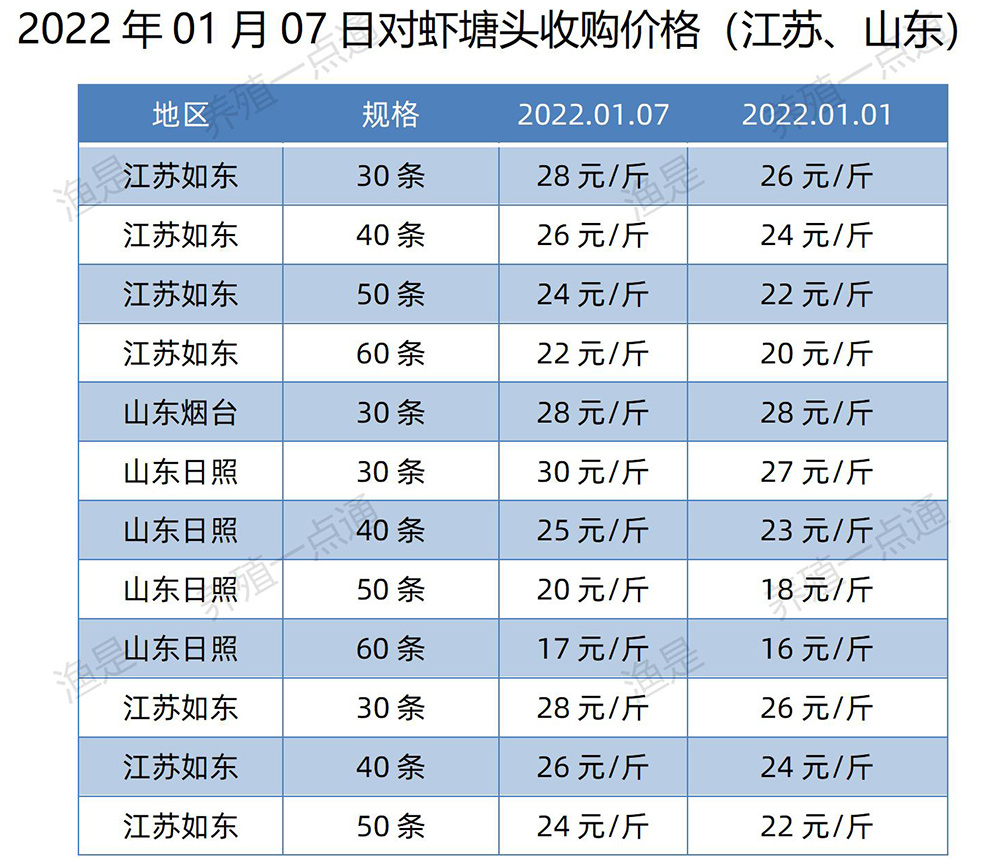 2022年01月07日，南美白对虾塘头收购价格表（广东、福建、江苏、山东、海南）