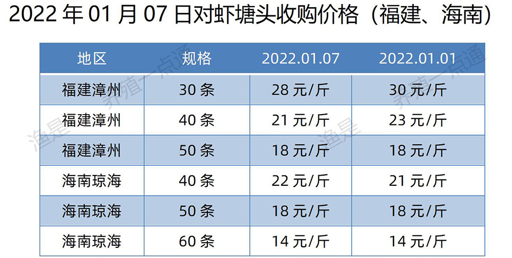 2022年01月07日，南美白对虾塘头收购价格表（广东、福建、江苏、山东、海南）