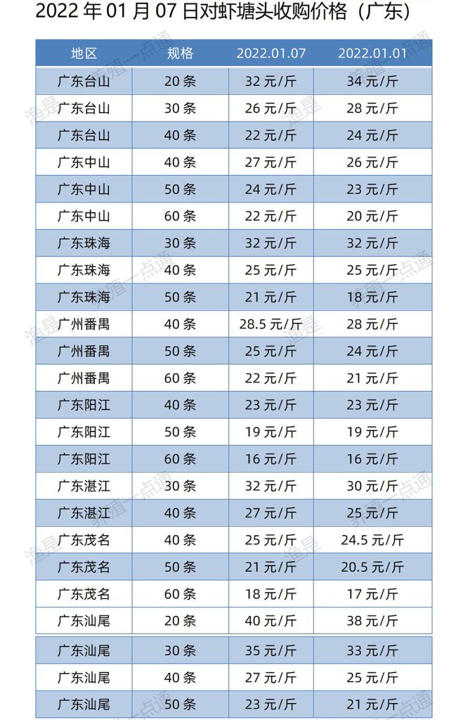 2022年01月07日，南美白对虾塘头收购价格表（广东、福建、江苏、山东、海南）