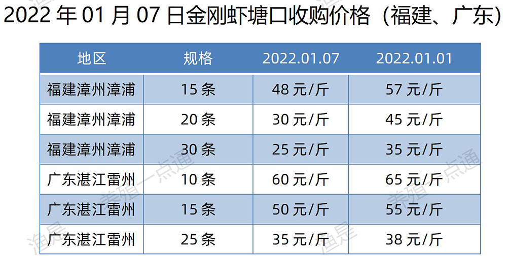 2022年01月07日，金刚虾塘口收购价格（福建、广东）