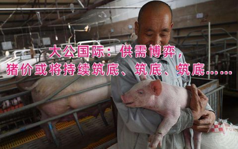 大公国际：供需博弈，猪价或将持续筑底