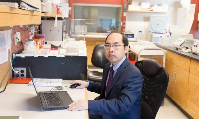 马文强，南京农业大学教授、硕导，畜禽应激专家。