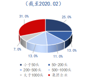 Mysteel解读：生猪行业变局之路，舍小保大？