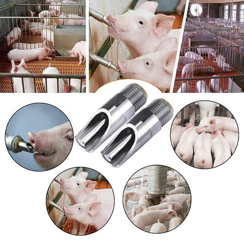“低迷”的生猪行情下，肉猪养殖企业“何去何从”？
