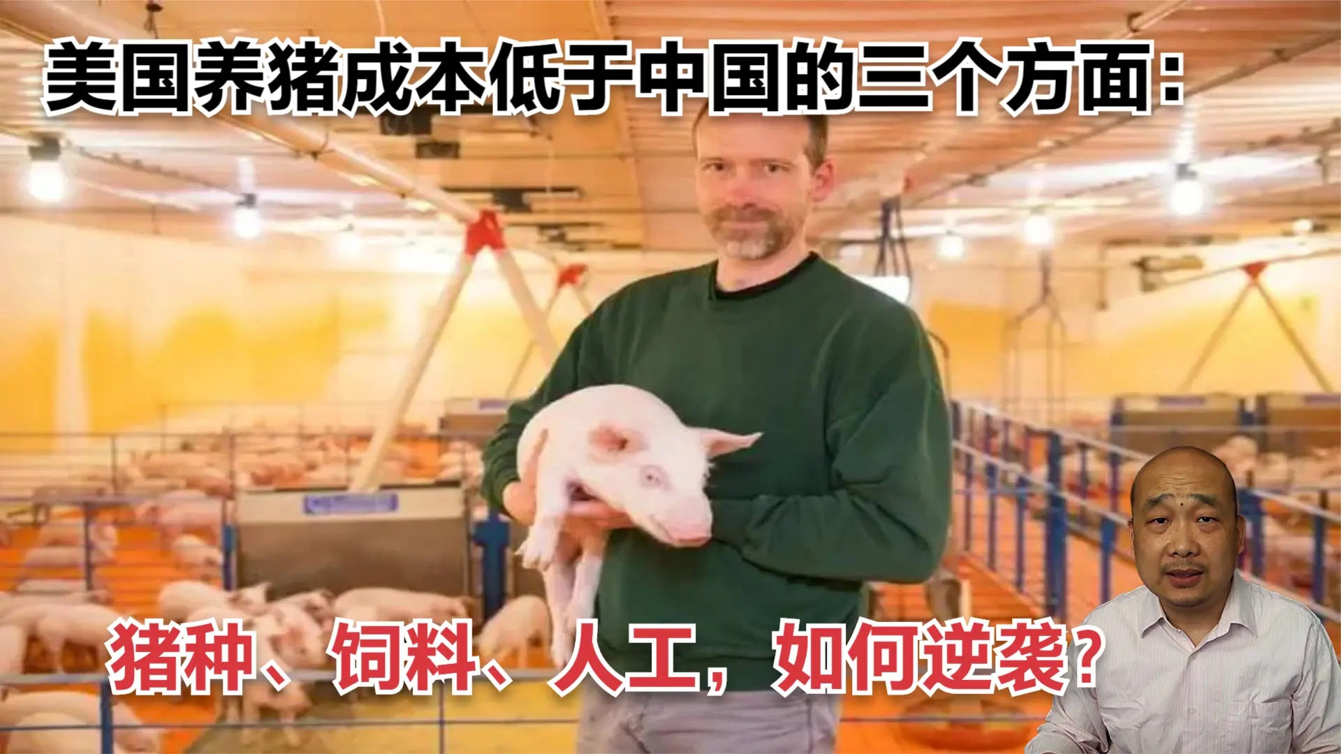 美国养猪成本低于中国的三个方面：猪种、饲料、人工，如何逆袭？
