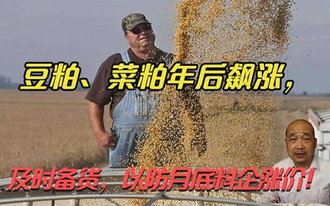 玉米、豆粕持续推涨，饲料龙头“涨+变”，效益难求？