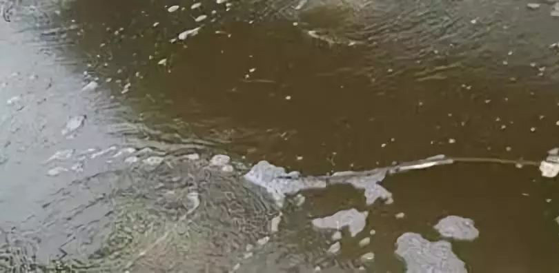黑褐色水