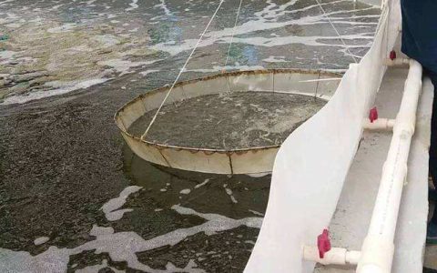 虾塘中后期换水大忌