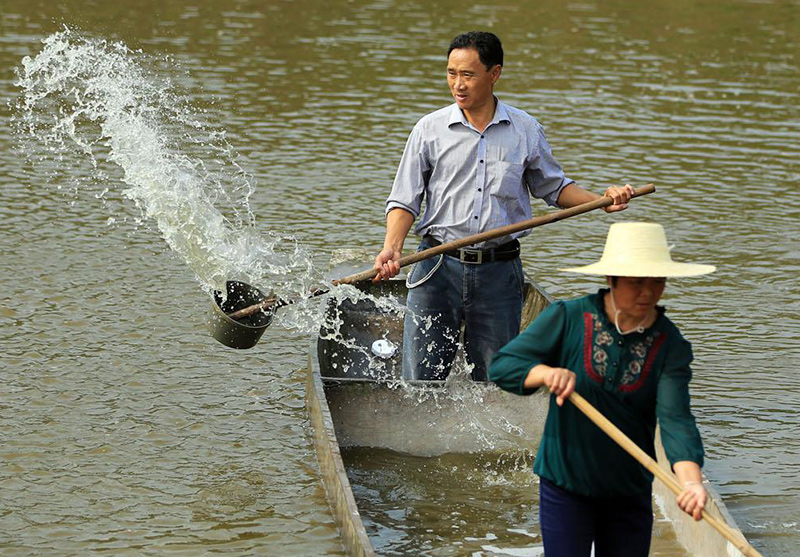 消毒剂在水产养殖中高效、安全使用，病死鱼勿乱扔