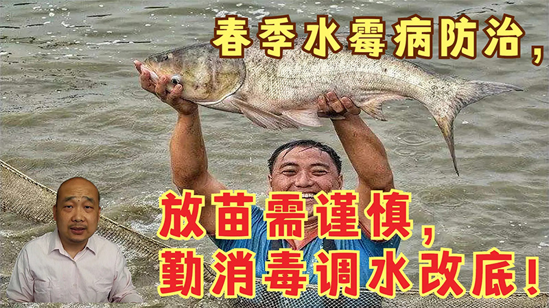 鱼病防治