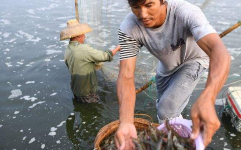 初春早造肥水难、肥水失效的原因和解决