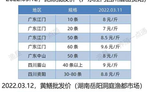 【渔是特约】2022.03.12，泥鳅、黄鳝批发价（湖南、广东、四川）