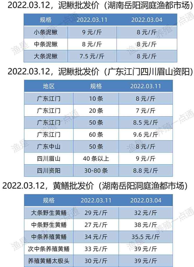 2022.03.12，泥鳅、黄鳝批发价（湖南、广东、四川）