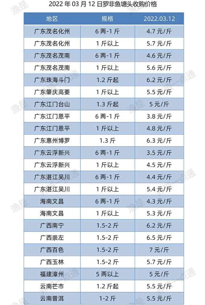 【渔是特约】2022.03.12，罗非鱼、斑叉、黄颡、加州鲈、花鲢、鳊鱼、草鱼、鲫鱼、鲤鱼、黑鱼、海鲈、鳜鱼，塘头收购价