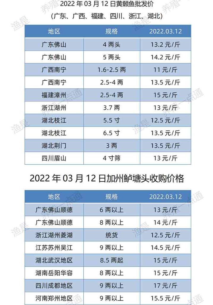 2022.03.12，黄颡鱼、加州鲈价格。