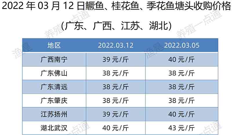 2022.03.12，鳜鱼价格。