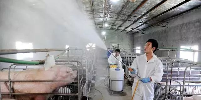 影响消毒剂效果的十大因素分析,科学、合理效果好