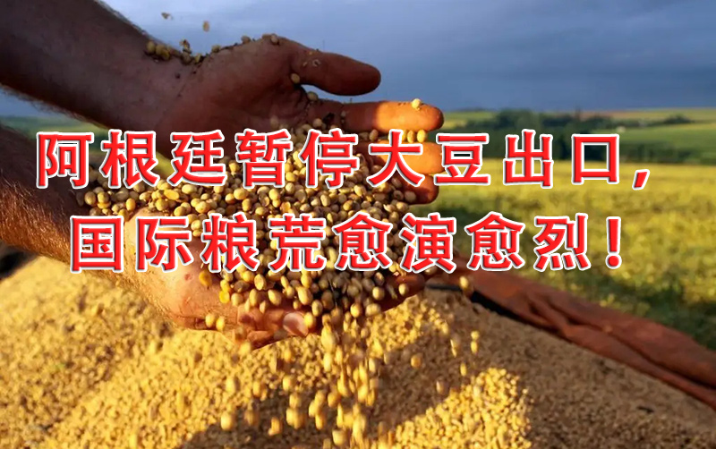 阿根廷暂停大豆出口，国际粮荒愈演愈烈！