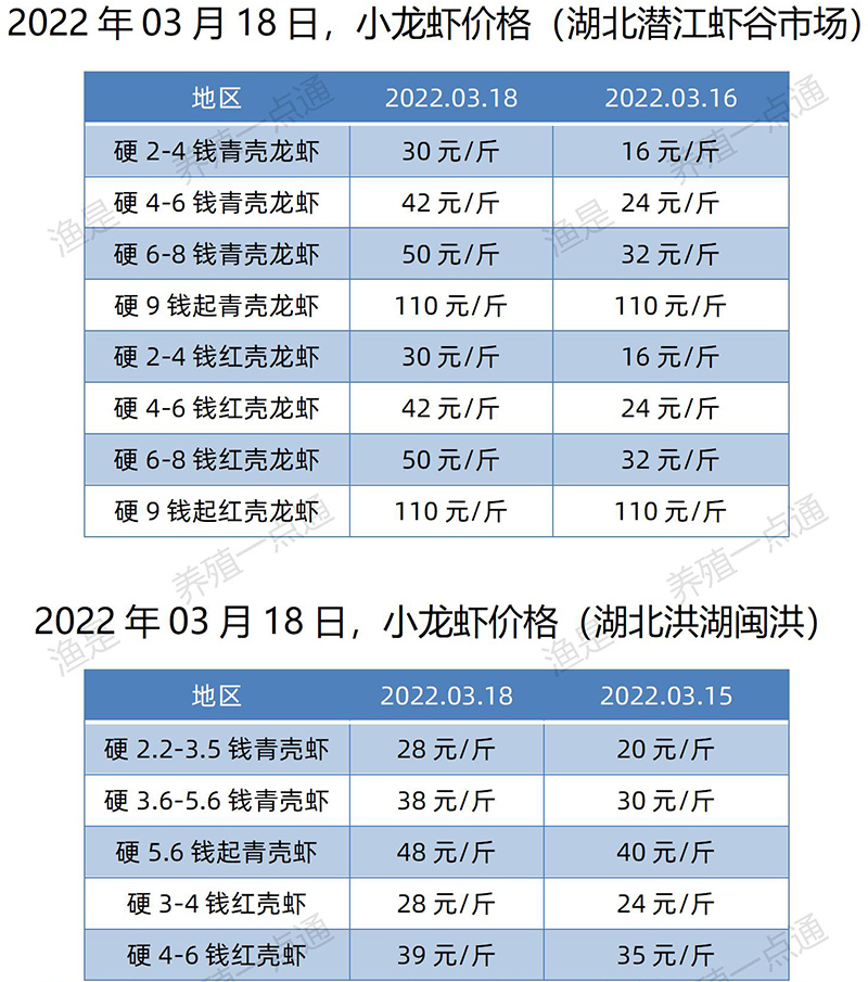 2022.03.18，小龙虾价格行情（湖北潜江、湖北洪湖闽洪）。