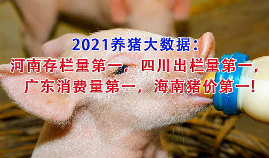 2021养猪大数据