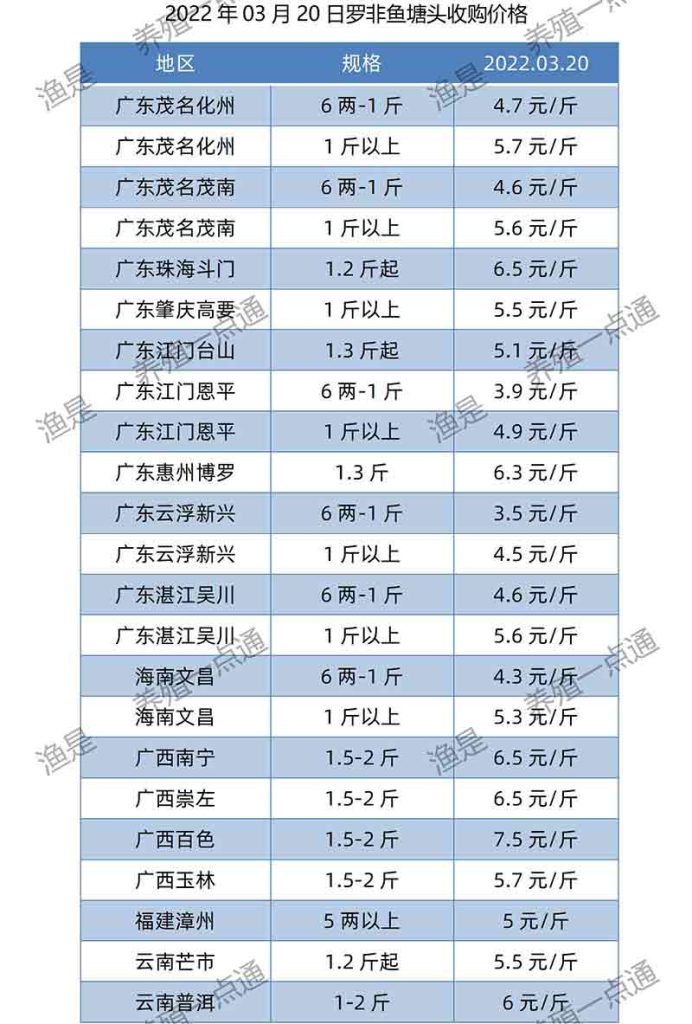 2022.03.20，罗非鱼塘头收购价。