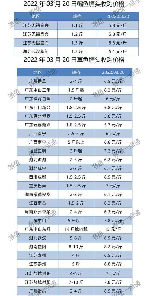 2022.03.20，鳊鱼、草鱼塘头收购价。