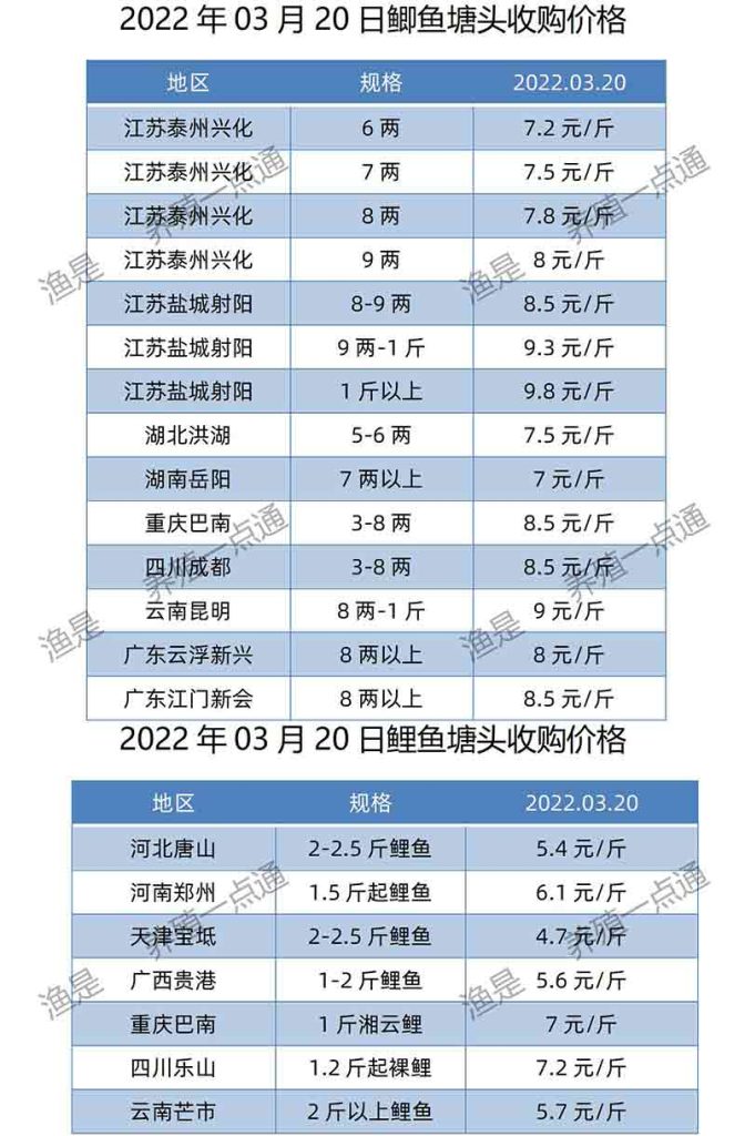 2022.03.20，鲫鱼、鲤鱼塘头收购价。